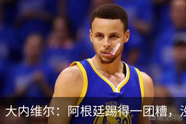 大内维尔：阿根廷踢得一团糟，没有梅西他们达不到这样的高度