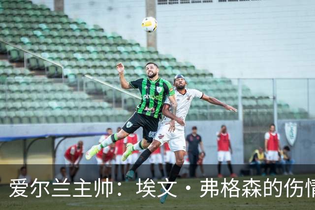 爱尔兰主帅：埃文·弗格森的伤情比预期更严重，可能要10月份康复