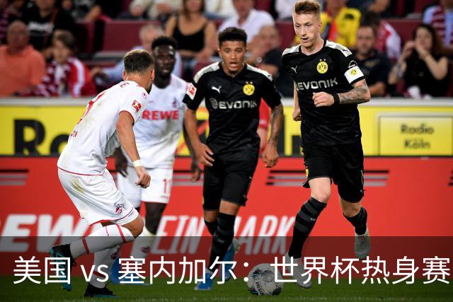 美国 vs 塞内加尔：世界杯热身赛的巅峰对决，你准备好了吗？