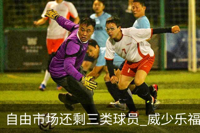 自由市场还剩三类球员 威少乐福领衔失业大军？